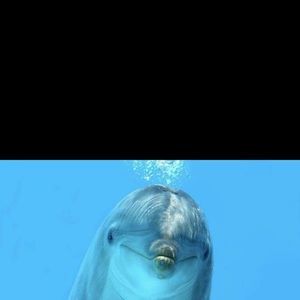 Meet your Posher, Melody